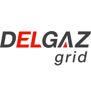 delgaz-grid-logo